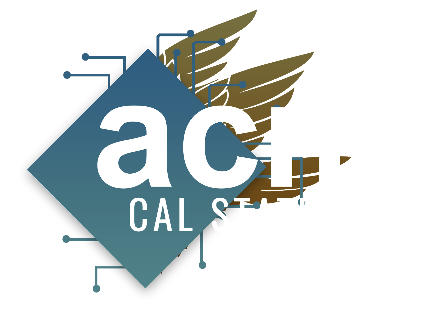 ACM Logo 3